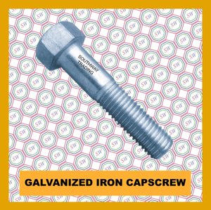 Galvanized Iron Cap Screw Bolt Supplier Wholesaler Philippines Quezon City