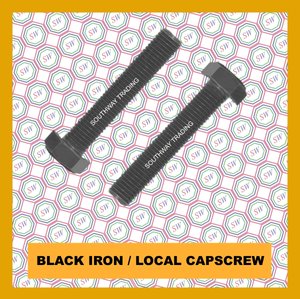 Black Iron Local Cap Screw Bolt Nut Washer Wholesaler Supplier Philippines